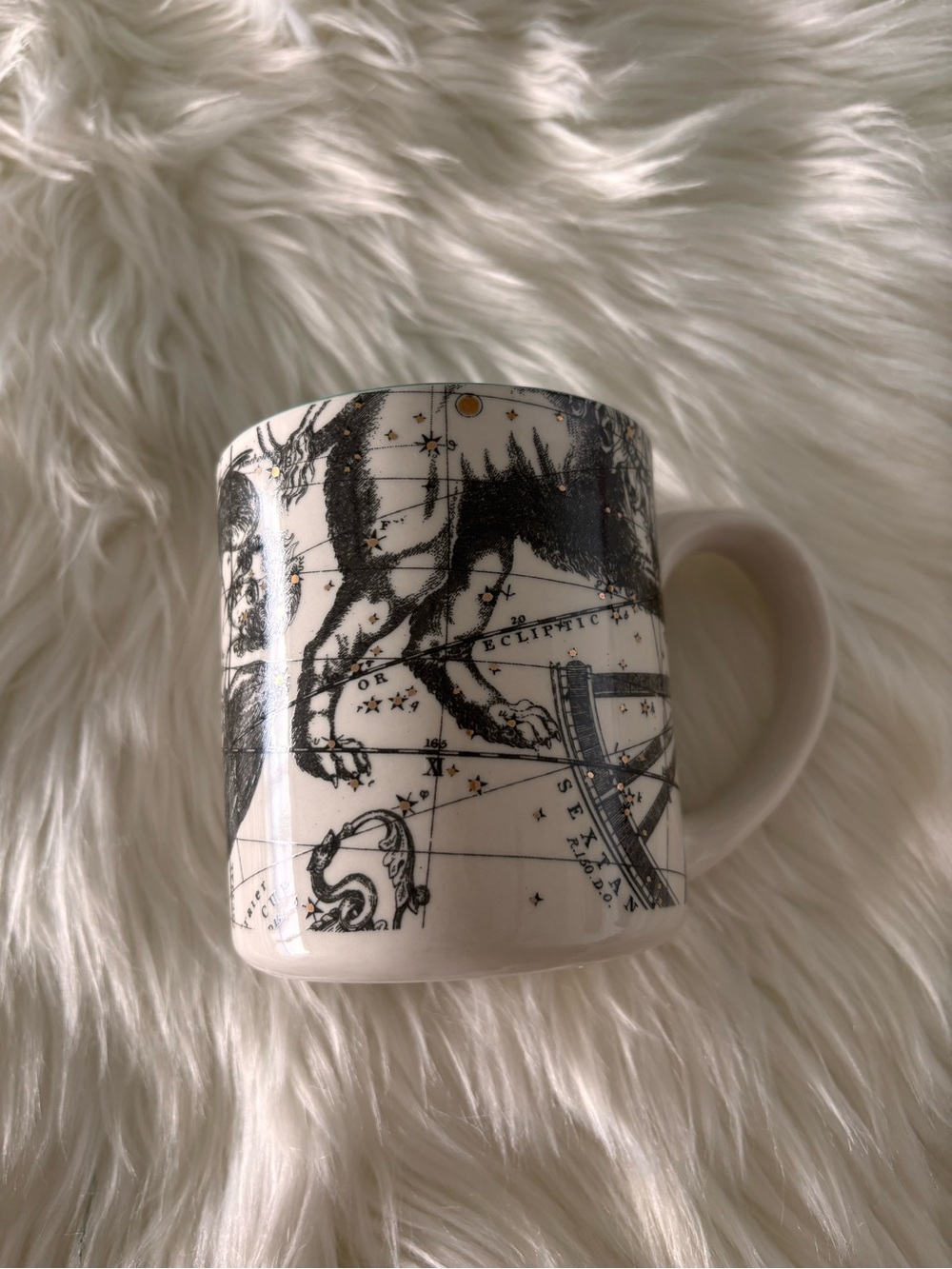 Anthropologie Salt and Earth VIRGO Coffee Tea Mug Virgo Zodiac Cup Horoscope